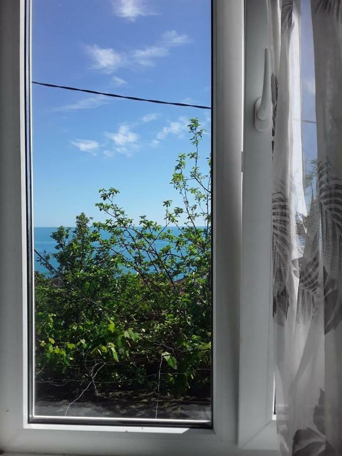 Zeleniy Dvorik Guest House New Athos Екстер'єр фото
