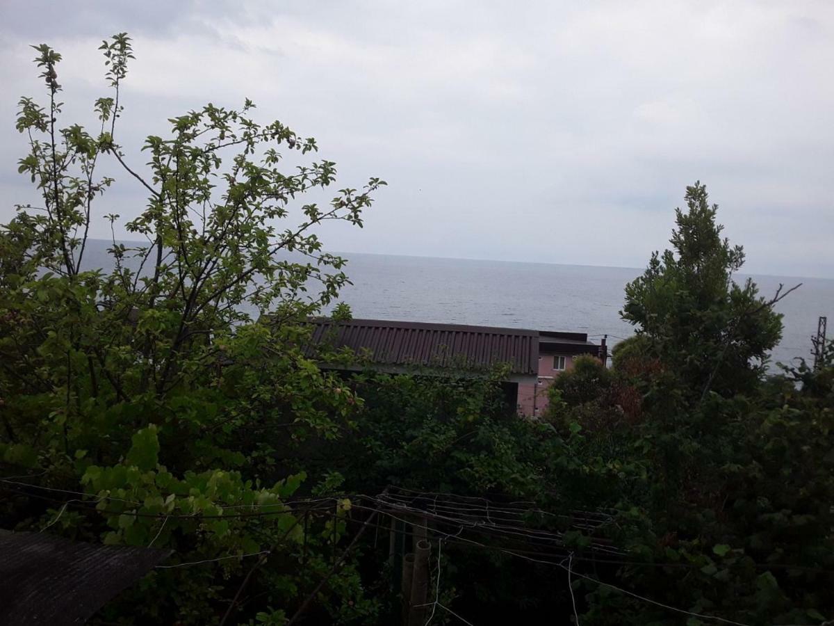 Zeleniy Dvorik Guest House New Athos Екстер'єр фото